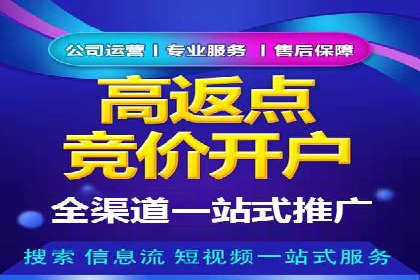 百度竞价公司与品牌合作：双赢的案例分析